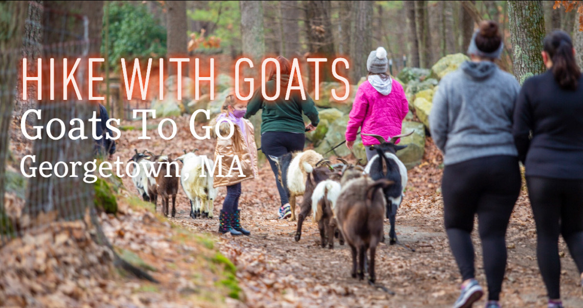Goat Hike & Explore GoatsToGo.farm